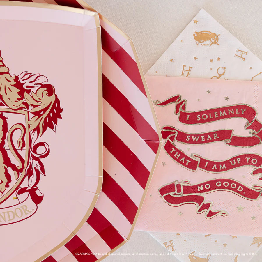 HARRY POTTER X BONJOUR FÊTE HOUSE PRIDE SMALL PARTY NAPKINS