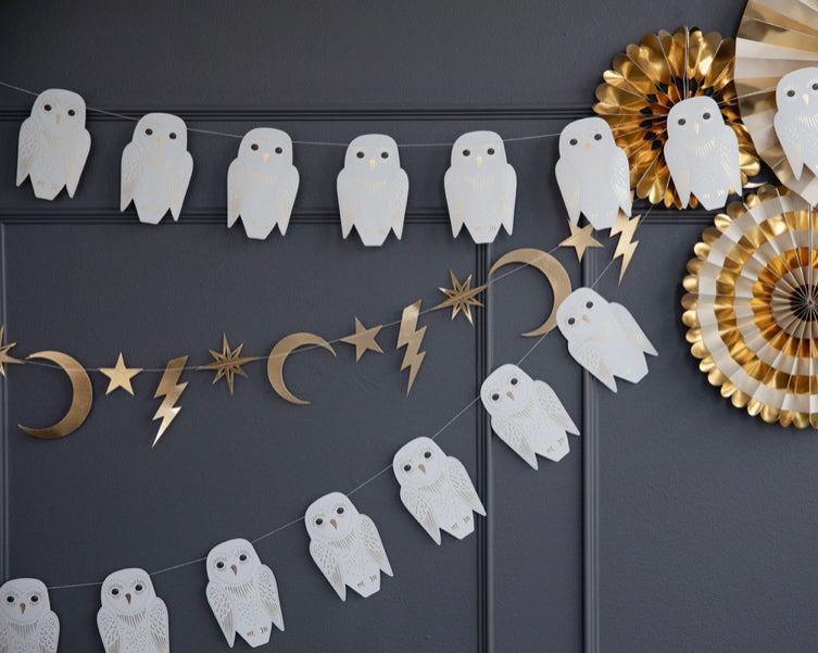 Spell Bound Owl and Lightning Banner Set