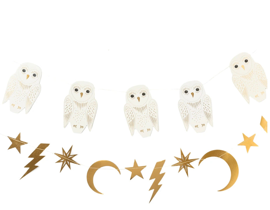 Spell Bound Owl and Lightning Banner Set