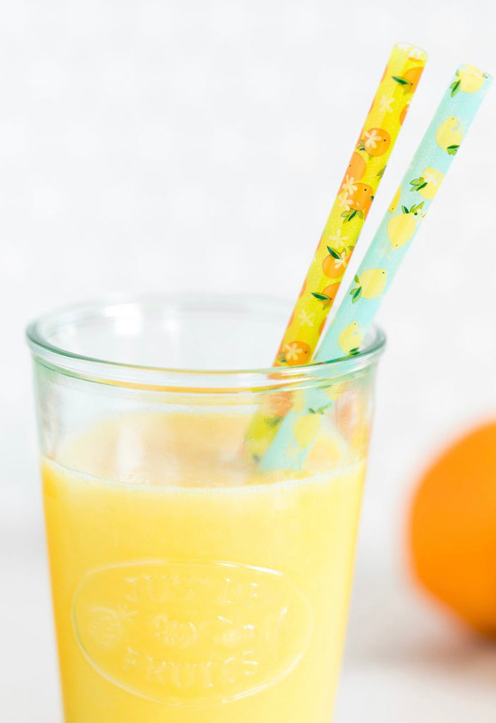 Summer Citrus Reuseable Straws