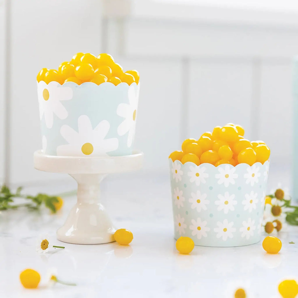 Spring Daisy Baking Cups